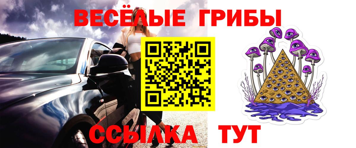 Псилоцибиновые грибы Psilocybe  Вход с VPN  Нововоронеж 